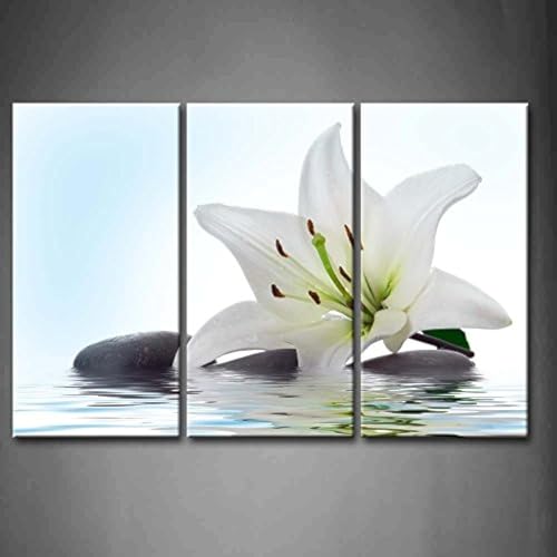First Wall Art - Lilie Blumen Leinwand Bilder Weiße Blume und Steine im Wasser Wandbild Poster 3Panel Modern Pflanze Dekorationen Für das Wohnzimmer,Büro,Küche,Badezimmer,Schlafzimmer von First Wall Art