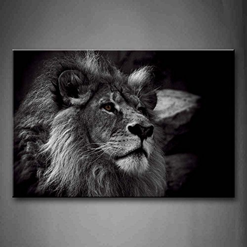 First Wall Art Löwe Löwen Bilder Leinwand 24x36inch Bild Schwarz Weiß Tier Wandbilder Wohnzimmer Moderne für Schlafzimmer Dekoration Wohnung Home Deko Kunstdruck von First Wall Art