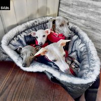 xxl Hundetasche + Bett, Hundereisetasche Für Windhunde, Reisebett Grosse Hunde von ErubaDesign