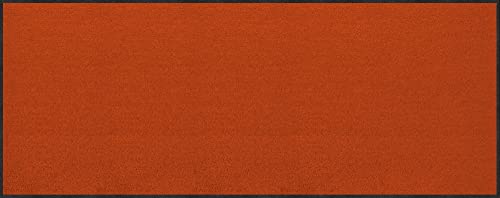 Erwin Müller Fußmatte Mainz, Schmutzfangmatte, Sauberlaufmatte uni terra Größe 40x100 - rutschfest, pflegeleicht, für Fußbodenheizung geeignet (weitere Farben, Größen) von Erwin Müller