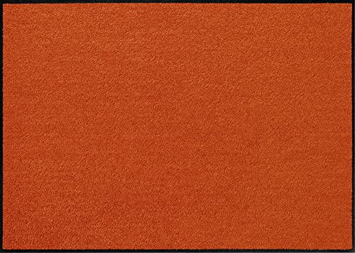 Erwin Müller Fußmatte Mainz, Schmutzfangmatte, Sauberlaufmatte uni terra Größe 50x75 cm - rutschfest, pflegeleicht, für Fußbodenheizung geeignet (weitere Farben, Größen) von Erwin Müller