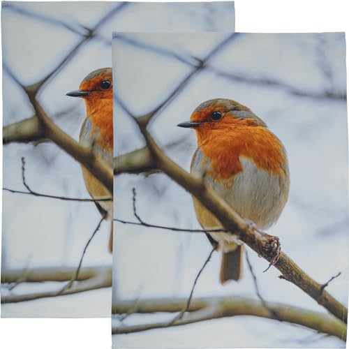 Erwin Müller Geschirrtuch 2er-Pack Baumwolle Rotkehlchen Größe 50x70 cm Erwin Müller Geschirrtuch 2er-Pack Baumwolle Rotkehlchen Größe 50x70 cm von Erwin Müller