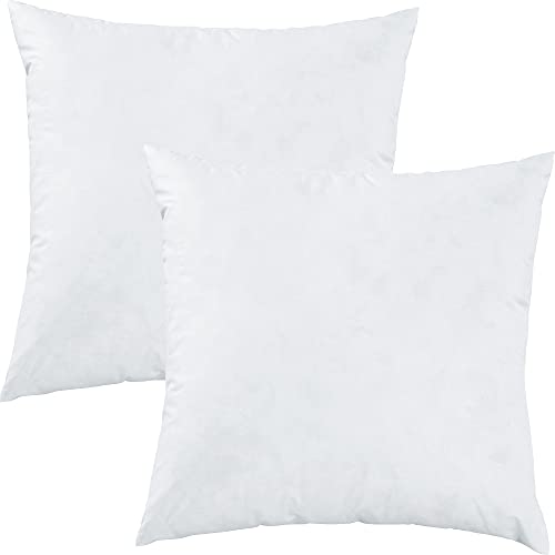 Erwin Müller Kissenfüllung Riga 2er-Pack 100% Federn weiß Größe 40x40 cm Erwin Müller Kissenfüllung Riga 2er-Pack 100% Federn weiß Größe 40x40 cm von Erwin Müller