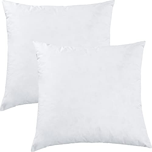 Erwin Müller Kissenfüllung Turku 2er-Pack 85% Federn, 15% Daunen weiß Größe 50x50 cm von Erwin Müller