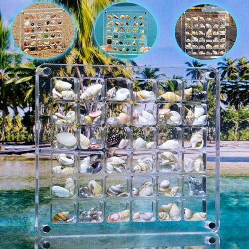 Acrylic Magnetic Seashell Display Box Seashell Storage Box 36 Grids Transparent Acrylic Seashell Storage Box Seashell Diamond Gemstone Beads Storage Display Organizer Box (36 Grids) von Erzekrim