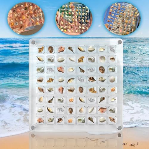 Acrylic Magnetic Seashell Display Box Seashell Storage Box 64 Grids Transparent Acrylic Seashell Storage Box Seashell Diamond Gemstone Beads Storage Display Organizer Box (64 Grids) von Erzekrim