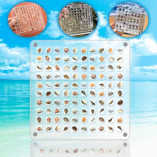 Erzekrim Acrylic Magnetic Seashell Display Box Seashell Storage Box 100 Grids Transparent Acrylic Seashell Storage Box Seashell Diamond Gemstone Beads Storage Display Organizer Box (100 Grids) von Erzekrim