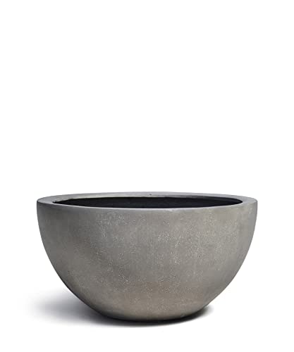 ESCHBACH® Pflanzkübel Low Egg Pot 50 Beton Grau Schale * 45 x 45 x 22 cm * 10 Jahre Garantie von Eschbach