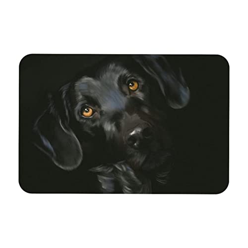 Dekorative Fußmatte mit Tierhund, schwarzer Labrador, 50,8 x 78,7 cm, rutschfest, rechteckig, für Innen- und Außenbereich, Haus und Garten von Eslifey