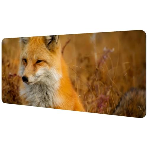 Eslifey Extra großes Mauspad, Fuchs-Nahaufnahme, Natur, erweitertes Schreibtisch-Mauspad mit rutschfester Gummiunterseite, Schreibtischunterlage für Gamer, Büro und Zuhause, 40 x 89,5 cm Eslifey Extra großes Mauspad, Fuchs-Nahaufnahme, Natur, erweitertes Schreibtisch-Mauspad mit rutschfester Gummiunterseite, Schreibtischunterlage für Gamer, Büro und Zuhause, 40 x 89,5 cm von Eslifey