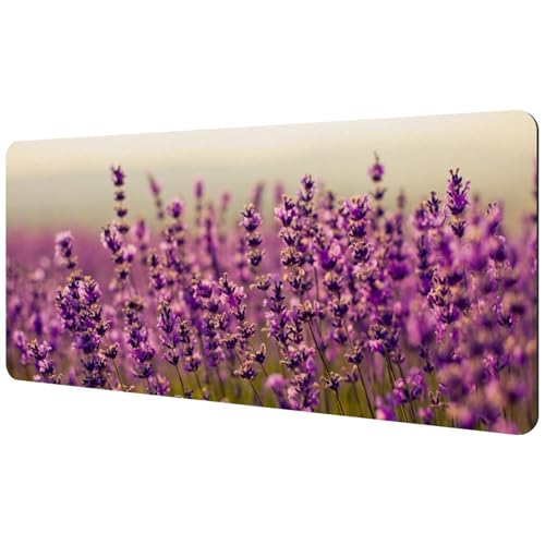 Eslifey Extra großes Mauspad, Lavendelblüte, Violett, Natur, erweitertes Schreibtisch-Mauspad mit rutschfester Gummiunterseite, Schreibtischunterlage für Gamer, Büro und Zuhause, 40 x 89,5 cm Eslifey Extra großes Mauspad, Lavendelblüte, Violett, Natur, erweitertes Schreibtisch-Mauspad mit rutschfester Gummiunterseite, Schreibtischunterlage für Gamer, Büro und Zuhause, 40 x 89,5 cm von Eslifey