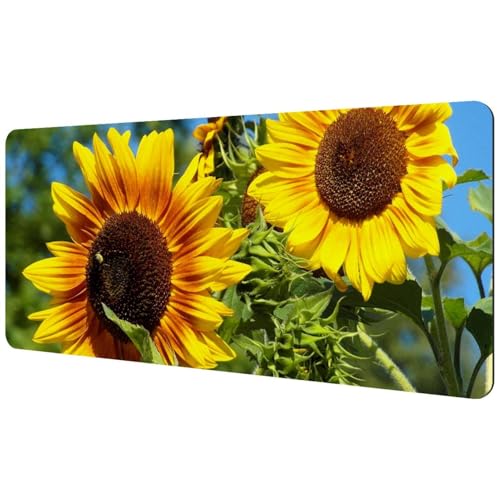 Eslifey Extra großes Mauspad, Sonnenblumen, gelbe Blume, Pflanze, erweitertes Schreibtisch-Mauspad mit rutschfester Gummiunterseite, Schreibtischunterlage für Gamer, Büro und Zuhause, 40 x 89,5 cm Eslifey Extra großes Mauspad, Sonnenblumen, gelbe Blume, Pflanze, erweitertes Schreibtisch-Mauspad mit rutschfester Gummiunterseite, Schreibtischunterlage für Gamer, Büro und Zuhause, 40 x 89,5 cm von Eslifey