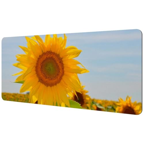 Eslifey Extra großes Mauspad, Sonnenblumen-gelbe Pflanze, Wildfeld, erweitertes Schreibtisch-Mauspad mit rutschfester Gummiunterseite, Schreibtischunterlage für Gamer, Büro und Zuhause, 40 x 89,5 cm Eslifey Extra großes Mauspad, Sonnenblumen-gelbe Pflanze, Wildfeld, erweitertes Schreibtisch-Mauspad mit rutschfester Gummiunterseite, Schreibtischunterlage für Gamer, Büro und Zuhause, 40 x 89,5 cm von Eslifey