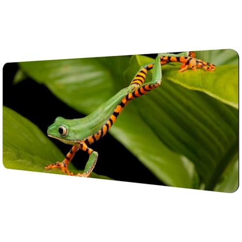Eslifey Extra großes Mauspad, Tier-Natur, Waldfrosch, erweitertes Schreibtisch-Mauspad mit rutschfester Gummiunterseite, Schreibtischunterlage für Gamer, Büro und Zuhause, 40 x 89,5 cm Eslifey Extra großes Mauspad, Tier-Natur, Waldfrosch, erweitertes Schreibtisch-Mauspad mit rutschfester Gummiunterseite, Schreibtischunterlage für Gamer, Büro und Zuhause, 40 x 89,5 cm von Eslifey