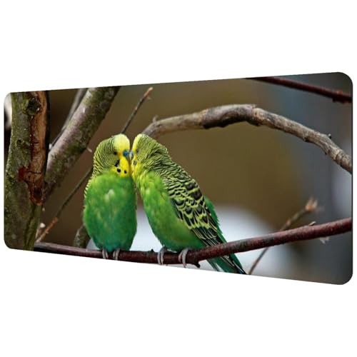 Eslifey Extra großes Mauspad, zwei Wellensittiche, grüner Vogelbaum, Ast, erweitertes Schreibtisch-Mauspad mit rutschfester Gummiunterseite, Schreibtischunterlage für Gamer, Büro und Zuhause, 40 x Eslifey Extra großes Mauspad, zwei Wellensittiche, grüner Vogelbaum, Ast, erweitertes Schreibtisch-Mauspad mit rutschfester Gummiunterseite, Schreibtischunterlage für Gamer, Büro und Zuhause, 40 x von Eslifey