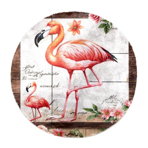 Eslifey Runder Zottelteppich, Motiv: Flamingo-Rosen-Blumen, Hochflor, weich, zottelig, moderner Teppich, Wohnzimmer, Schlafzimmer, 60 cm von Eslifey