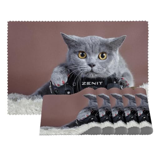 Graue Katzen-Platzsets, hitzebeständig, waschbar, rutschfest, schmutzabweisend, für den Außenbereich, für Tisch, Küche, Esszimmer, leicht zu reinigen, 4 Stück Graue Katzen-Platzsets, hitzebeständig, waschbar, rutschfest, schmutzabweisend, für den Außenbereich, für Tisch, Küche, Esszimmer, leicht zu reinigen, 4 Stück von Eslifey