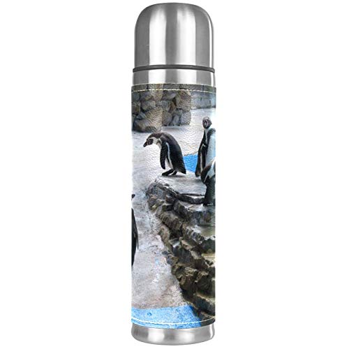 Niedliche Pinguin-Gruppe auslaufsichere Wasserflasche aus Edelstahl Vakuumbecher Thermoskanne für heiße und kalte Getränke 500 ml für Büro, Schule, Reisen Niedliche Pinguin-Gruppe auslaufsichere Wasserflasche aus Edelstahl Vakuumbecher Thermoskanne für heiße und kalte Getränke 500 ml für Büro, Schule, Reisen von Eslifey
