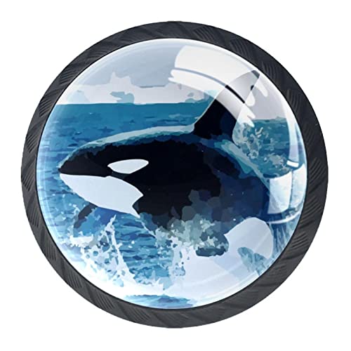 Orca Killer Wal Wal Fisch Ozean Schubladengriffe Schrank Schminktisch Kommoden Knauf Zuggriff mit Schrauben 4 Stück von Eslifey