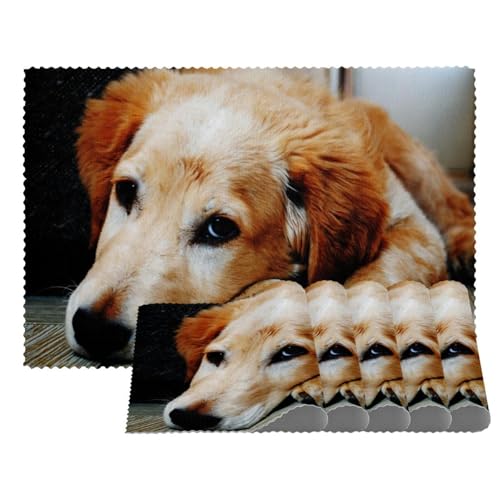 Platzsets mit schlafendem Hund, hitzebeständig, waschbar, rutschfest, schmutzabweisend, für den Außenbereich, für Tisch, Küche, Esszimmer, leicht zu reinigen, 4 Stück Platzsets mit schlafendem Hund, hitzebeständig, waschbar, rutschfest, schmutzabweisend, für den Außenbereich, für Tisch, Küche, Esszimmer, leicht zu reinigen, 4 Stück von Eslifey