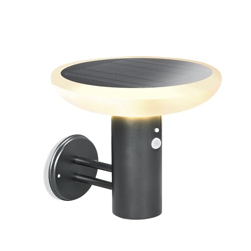 Esotec Solar PIR Wandleuchte Luna CCT, 3 Leuchtmodi, Höhe 23,5cm, Edelstahlhalterung, LiFePo4 Akku, Bewegungsmelder, Solarleuchte, Gartenbeleuchtung, schwarz, außen, wetterfest, winterfest, 102938 von Esotec