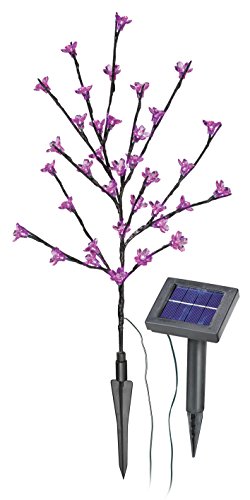 Solar Blütenstrauch mit 36 LEDs Lichtfarbe pink Dekoleuchte Solarlampe Gartenleuchte Außen LED esotec 102104 von Esotec