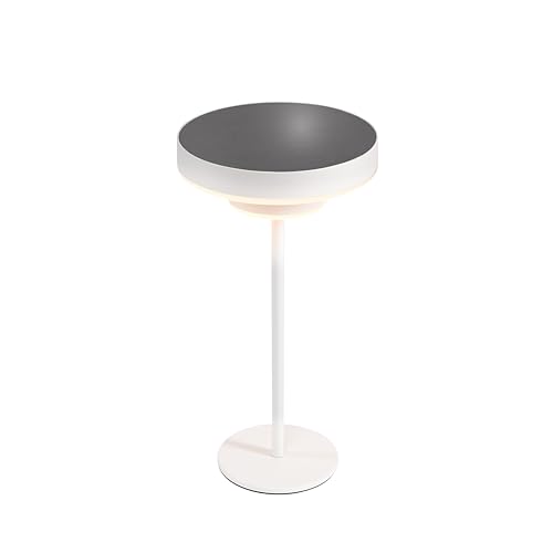 esotec Solar Sensorleuchte Tischleuchte Leseleuchte LINA | Sensor-TOUCH-Dimmfunktion | Li-Ion Akku USB-C Ladebuchse | outdoor LED Tischlampe Camping-Leuchte für außen | ALUMINIUM H=30cm 102922 von Esotec