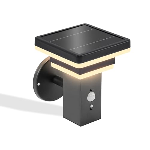 esotec Solarleuchte für außen LUCCA | PIR Bewegungsmelder LED-Wandleuchte Gartenleuchte Außenleuchte Gartenbeleuchtung Gartendeko | METALL Akku IP44 wetterfest schwarz H=19cm 102761 von Esotec