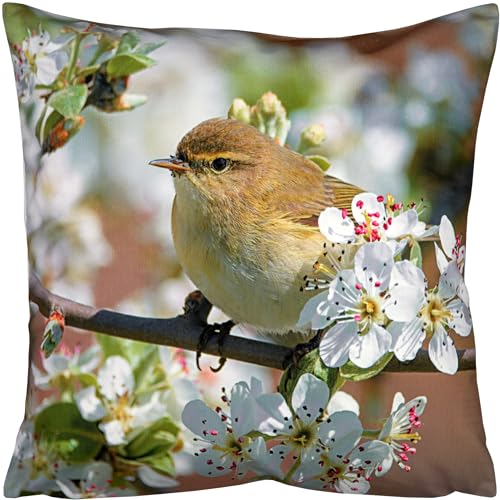 Espamira Kissenbezug 40x40 Kissenhülle Dekokissen Sofakissen Frühling Sommer Kissen Weich Stoff Chenille Bedruckt Reißverschluss (Zilpzalp 5261) von Espamira