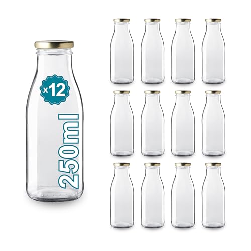 12 x 250 ml leere Glasflaschen mit Deckel - Glasflaschen für Saft, Milch, Grill, Saucen - Ideal für Picknicks, Hochzeiten und Partys von Espirito Rebelde