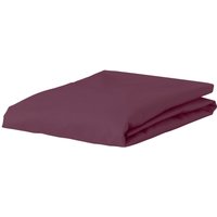 Esprit Spannbettlaken "SHEET", mit Gummizug Esprit Spannbettlaken "SHEET", mit Gummizug von Esprit