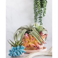 Handgefertigter Mini Kristall Sukkulententopf Einzigartiger Keramikpflanztopf Handgefertigter Mini Kristall Sukkulententopf Einzigartiger Keramikpflanztopf von EssaraiCeramics