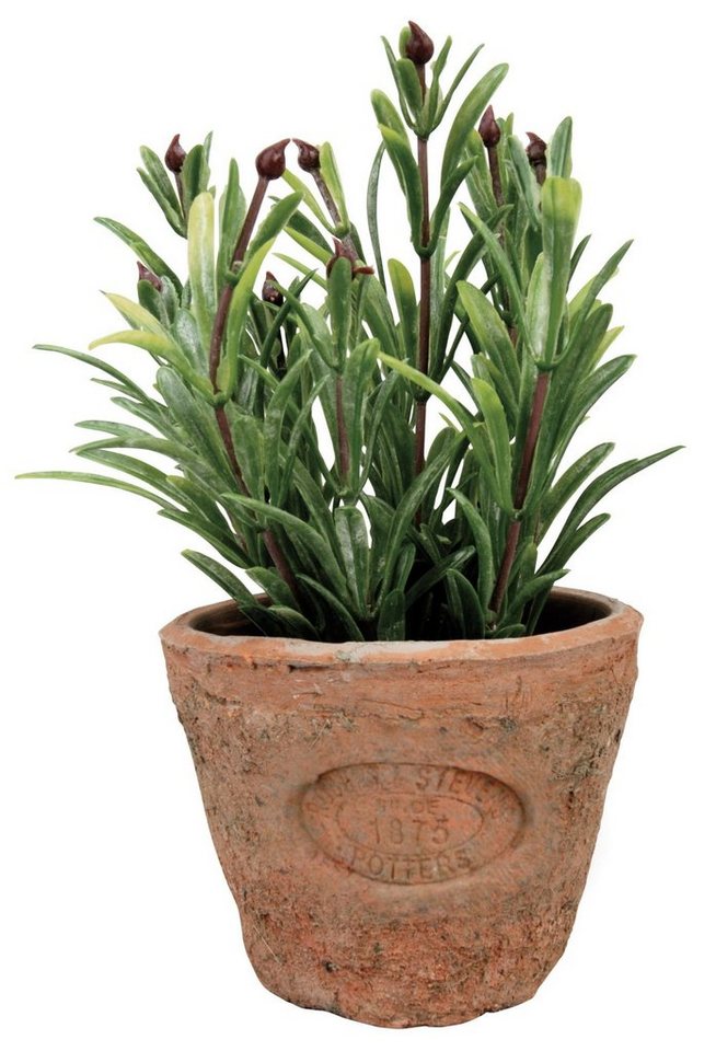 Kunstpflanze, esschert design, Rosmarin im Topf, Größe S von esschert design