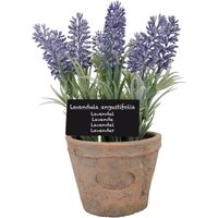 3 Stück Esschert Design Kunststoffpflanze Lavendel im Topf, Größe L, ca.11 cm x 11 cm cm x 22 cm von Esschert Design
