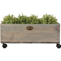 3 Stück Esschert Design Pflanzkasten auf Rollen M, 59 x 39 x 25 cm, aus Holz, Größe M, mit 4 Kunststoffrollen, Holzkiste, Holzbox, Aufbewahrungsbox von Esschert Design