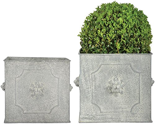 Esschert Design AM Löwe Blumentopf 2er Set, quadratisch, groß 24 cm/klein 20 cm, Aged Metall, antikes Design Esschert Design AM Löwe Blumentopf 2er Set, quadratisch, groß 24 cm/klein 20 cm, Aged Metall, antikes Design von Esschert Design