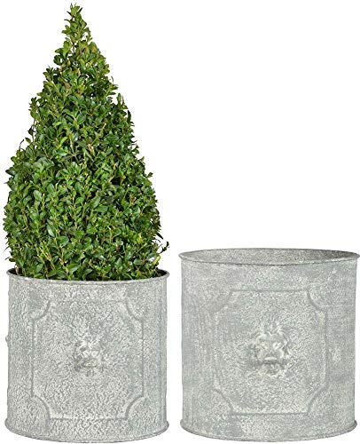 Esschert Design AM Löwe Blumentopf 2er Set, rund, 21,5 x 20/25,5 x 24 cm, aus Aged Metall, antikes Design, grau von Esschert Design