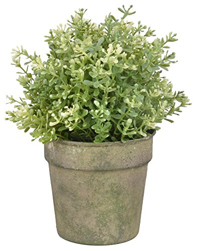 Esschert Design AM92 Pflanzgefäß, grün, Einheitsgröße von Esschert Design