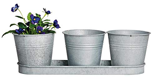 Esschert Design Blumentopf, Übertopf 3er-Set aus verzinktem Metall auf einem Tablett in grau, ca. 33 cm x 11 cm x 11 cm von Esschert Design