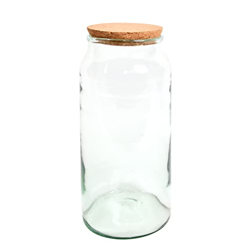 Esschert Design AGG70 Halboffene Terrarienflasche, groß von Esschert Design
