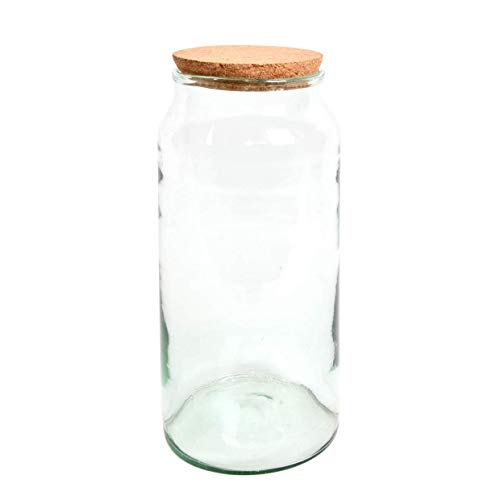 Esschert Design Halboffene Terrariumflasche, groß, transparent von Esschert Design