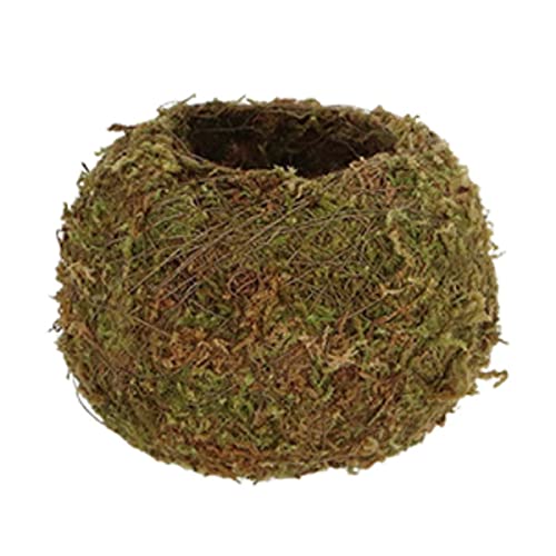 Esschert Design Kokedama Moos-Kugel S Ø 9 cm, Grün von Esschert Design