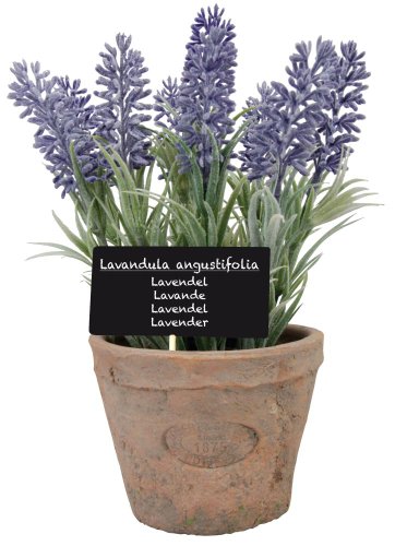 Esschert Design Kunststoffpflanze Lavendel im Topf, Größe L, ca.11 cm x 11 cm cm x 22 cm von Esschert Design