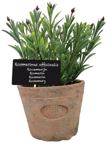 Esschert Design Kunststoffpflanze Rosmarin im Topf, Größe L, ca. 11 cm x 11 cm x 14 cm von Esschert Design