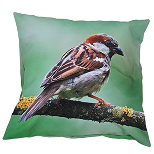 Esschert Design Outdoorkissen S mit Haussperlingmotiv 40 x 40 cm aus Polyester von Esschert Design