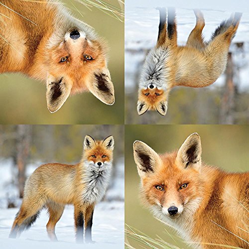 Esschert Design TP186 Servietten Fuchs von Esschert Design