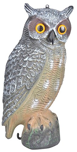 Esschert Design Vogelschreck Eule, 18,7x19,1x40,8 cm Esschert Design Vogelschreck Eule, 18,7x19,1x40,8 cm von Esschert Design