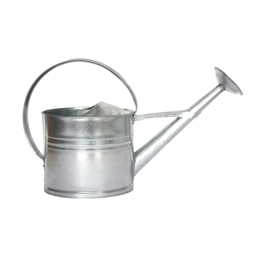 Esschert Design Zink-Gießkanne, Medium, Grau von Esschert Design