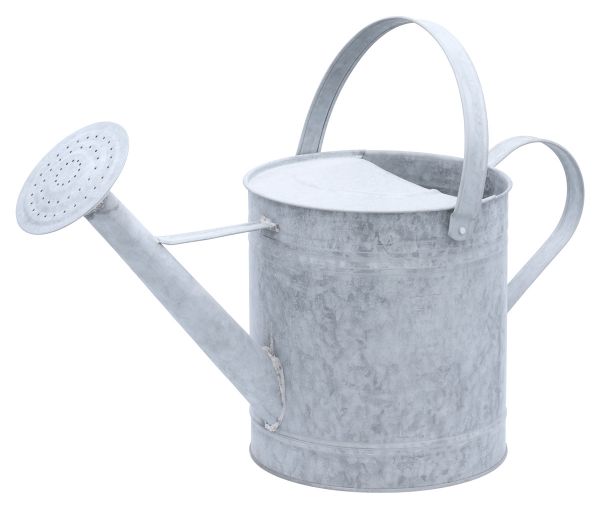 Zinkgießkanne 6 Liter, Altzink Gießkanne, Vintage Dekogießkanne, Bl... Zinkgießkanne 6 Liter, Altzink Gießkanne, Vintage Dekogießkanne, Bl... von Esschert Design