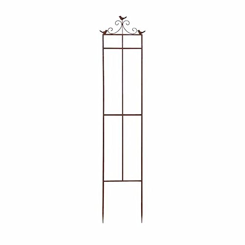 Esschert Design py63 Small 2D Bird Pflanze Unterstützung – Braun Esschert Design py63 Small 2D Bird Pflanze Unterstützung – Braun von Esschert Design